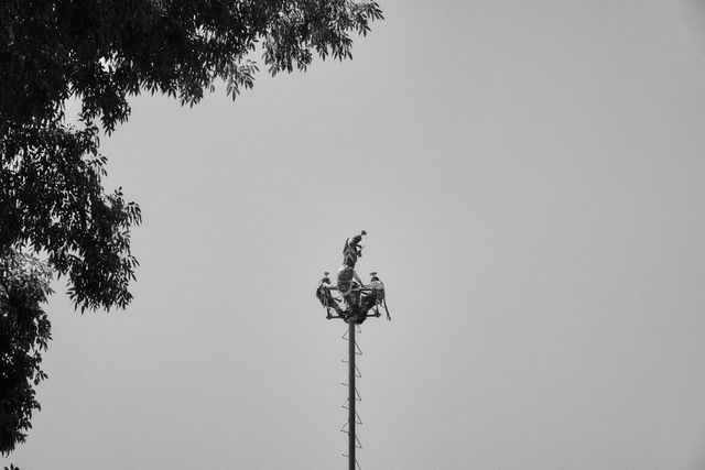 Negative Space