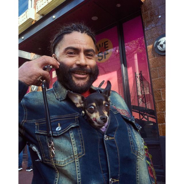 Dogs