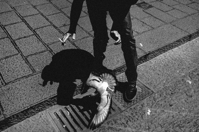 Monochrome