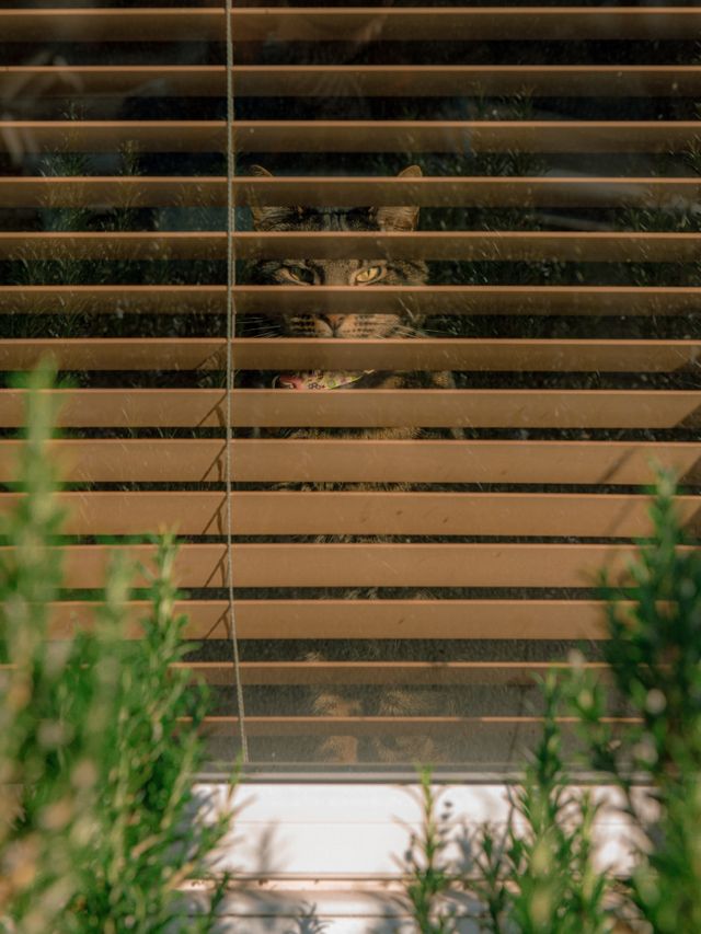 Behind Glass