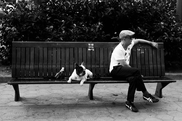 Black and White