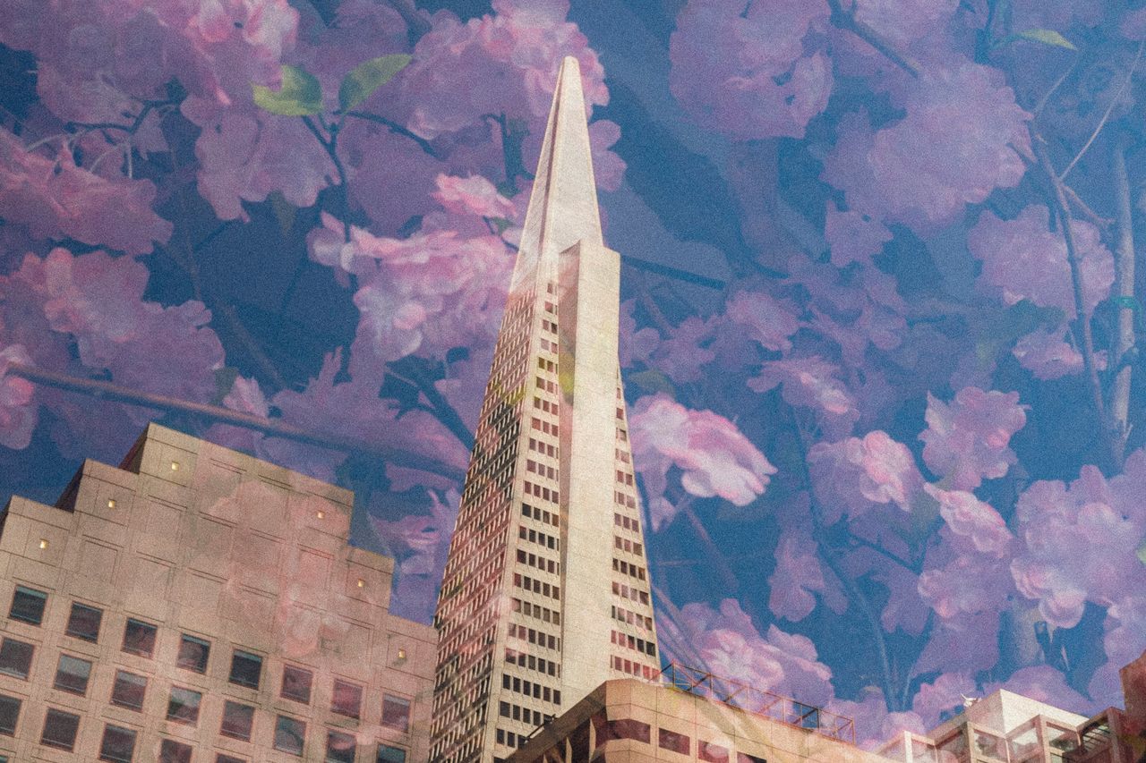 Submission by Joshua Tomlinson