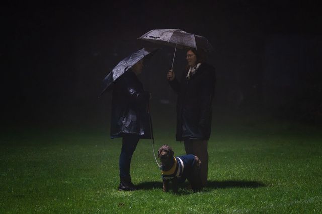 Dogs