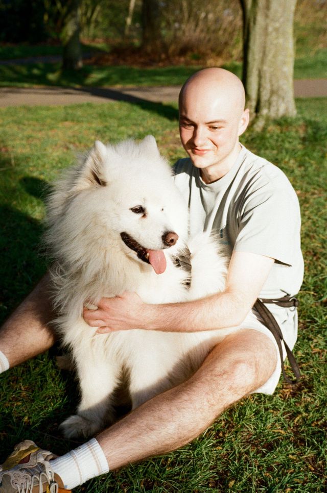 Dogs