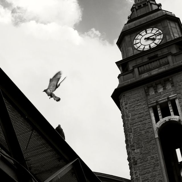 Monochrome