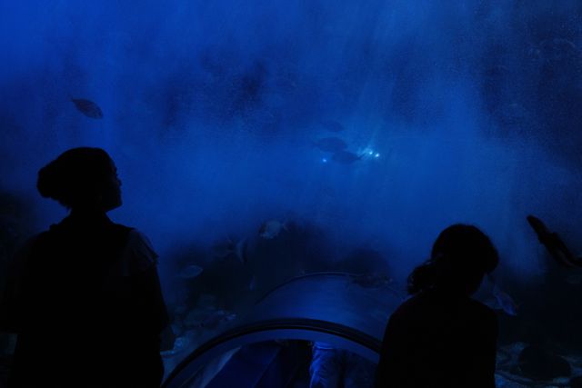 The Colour Blue