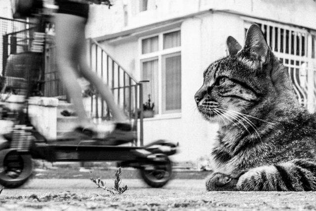 Black and White