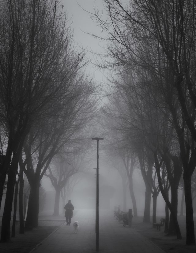 Weather
