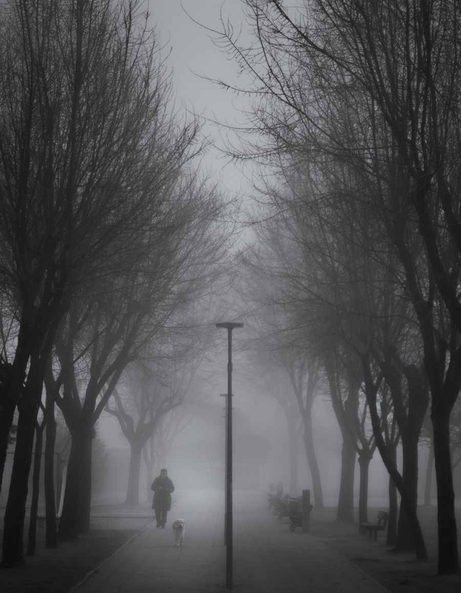 Submission by Patrick Gerke