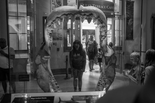Behind Glass