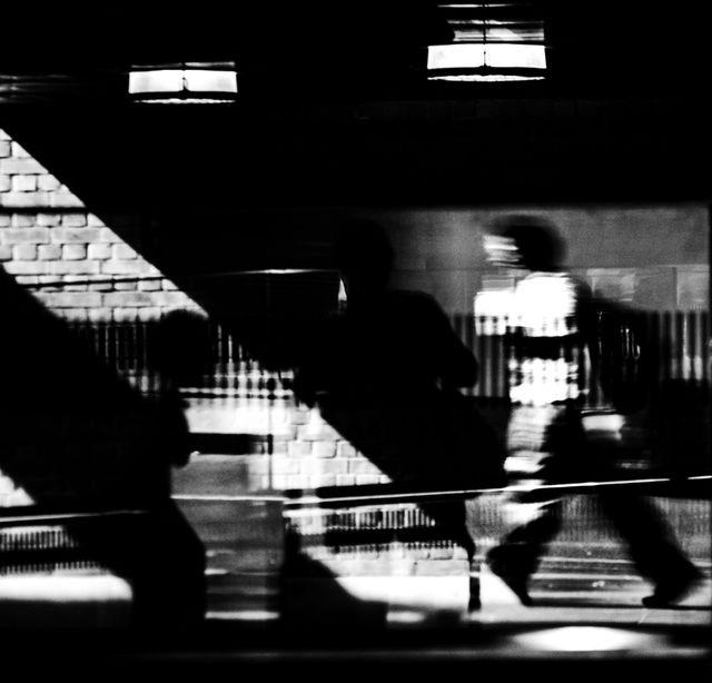 Monochrome