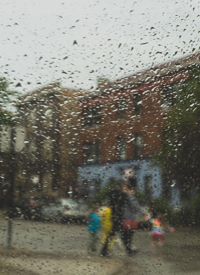 Weather