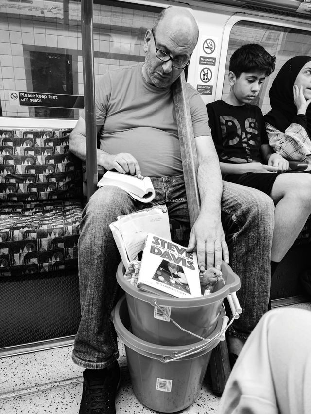 Public Transport