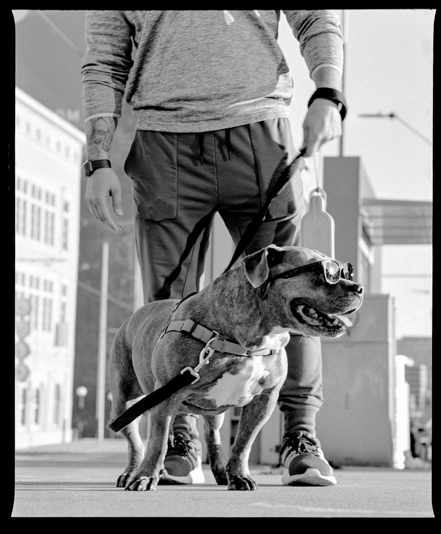 Submission by Derrick Benitz