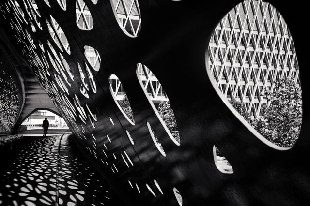 Shapes