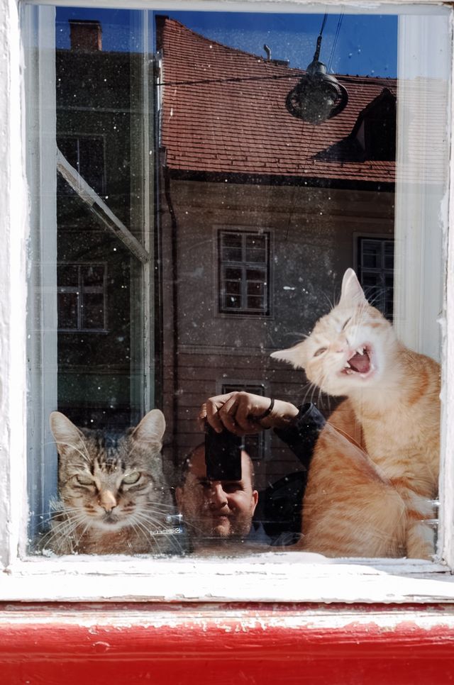 Behind Glass