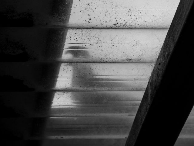 Abstract