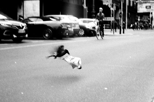 Urban Wildlife
