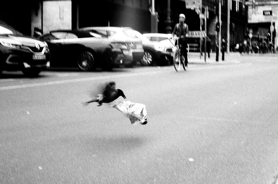 Submission by David Torres Guzmán