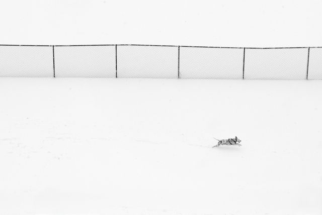 Negative Space