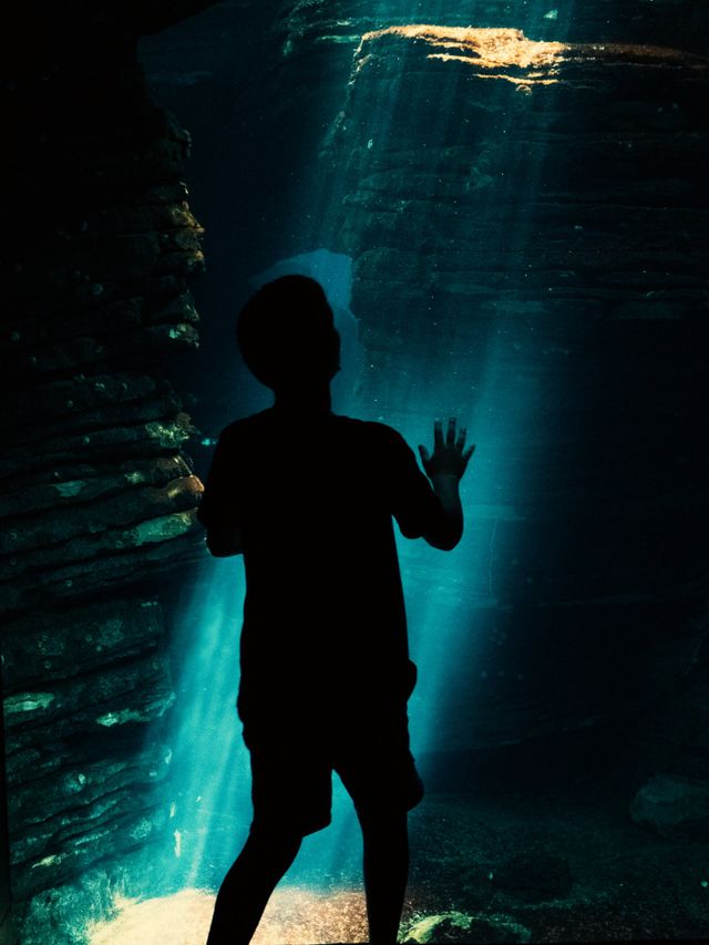 The Colour Blue