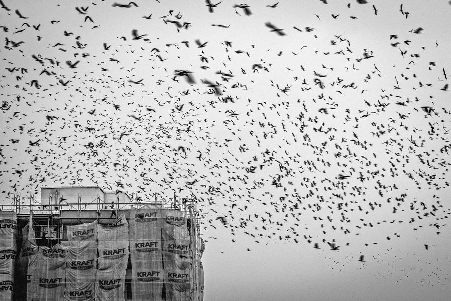 Submission by Gabriel Gheorghe