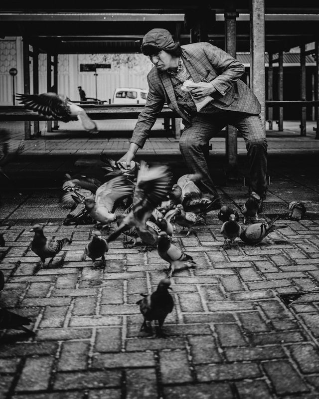 Urban Wildlife