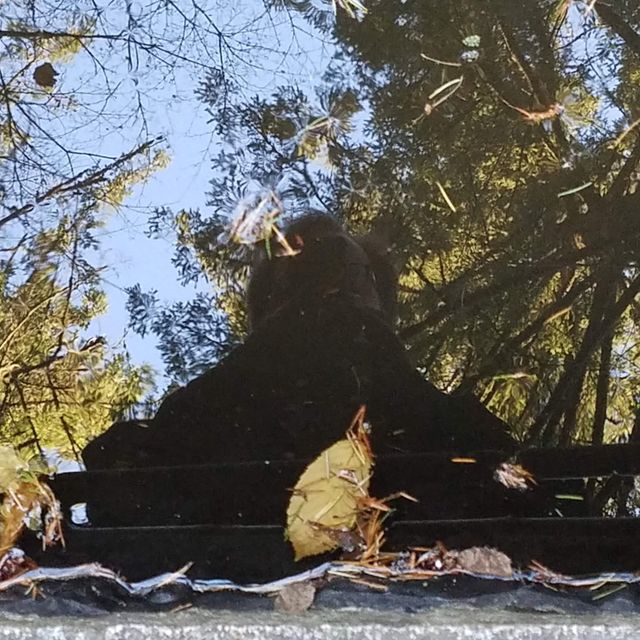Reflections