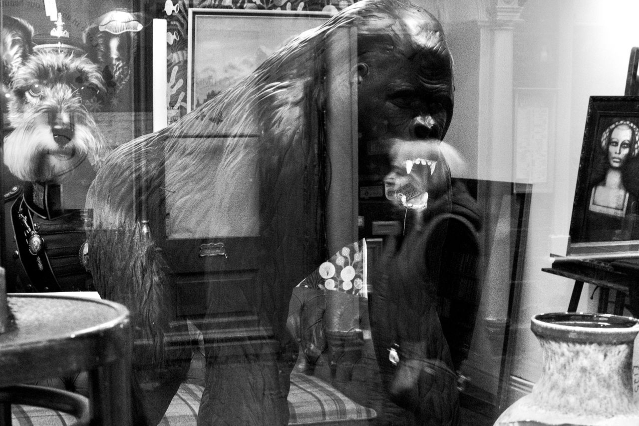 Behind Glass