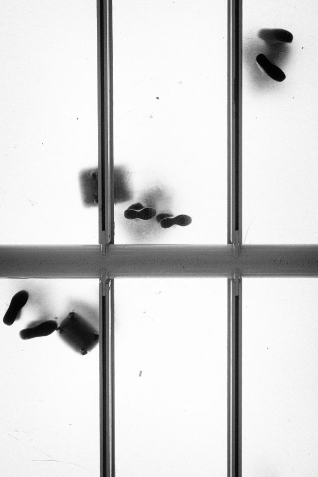 Monochrome