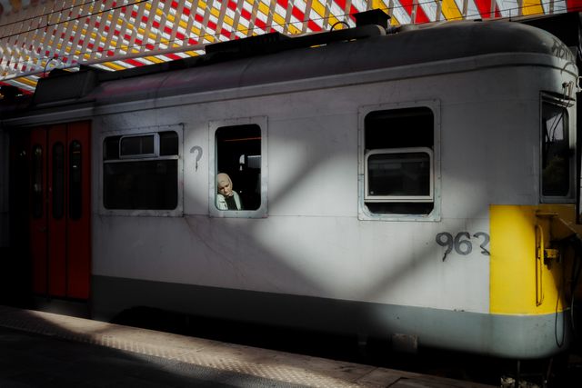 Public Transport