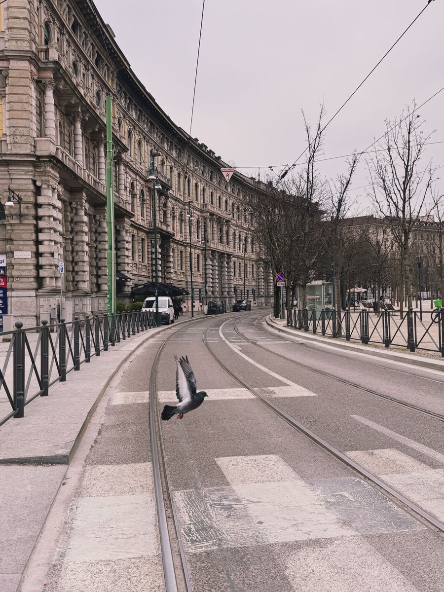 Submission by Simona Cassetti